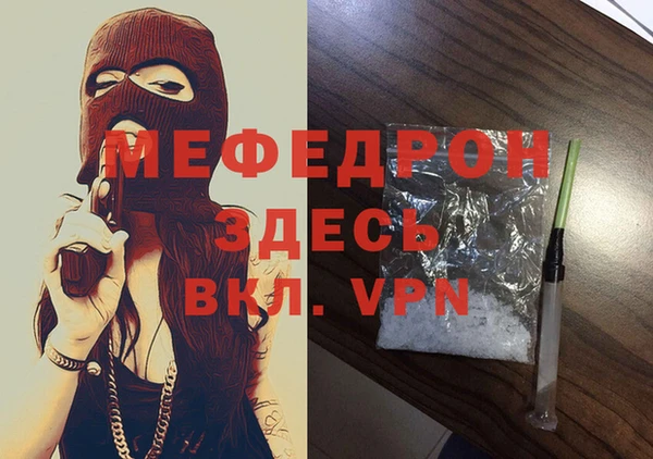 шишки Новодвинск