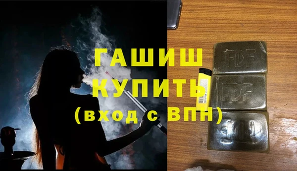 шишки Новодвинск