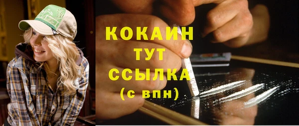 шишки Новодвинск